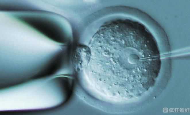深圳正规的供卵第三代试管婴儿助孕机构有哪些？附供卵第三代试管婴儿机构排