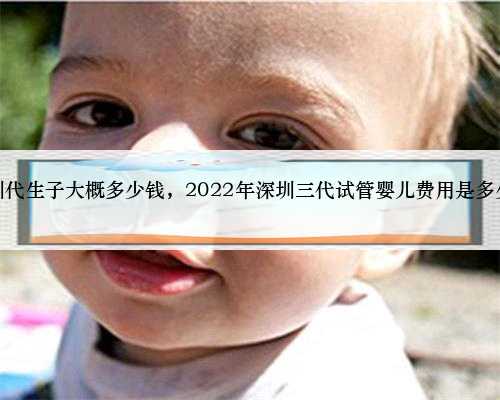 深圳代生子大概多少钱，2022年深圳三代试管婴儿费用是多少？